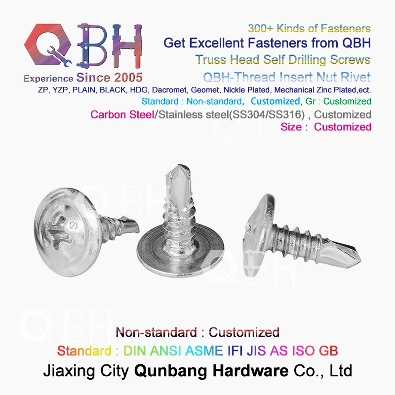 Qbh fertigte Binder-Oblaten-Kopf SDS-Schraube besonders an